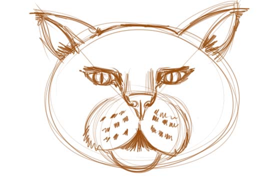 Draw Cat Face
