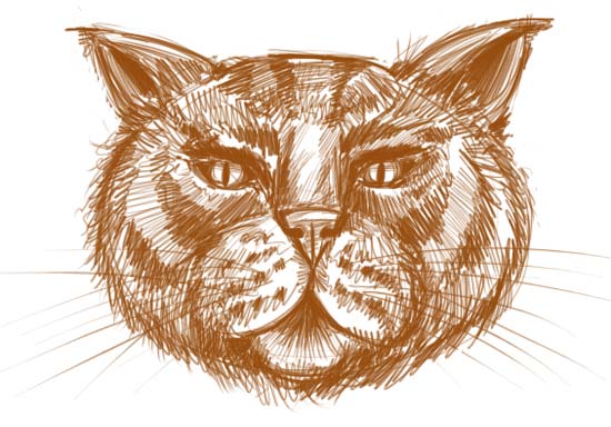 how to draw animals faces. How to Draw a Cat Face