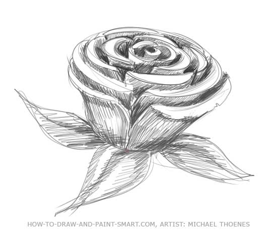 Pictures Of Roses To Draw. How to Draw a Teddy Bear Step