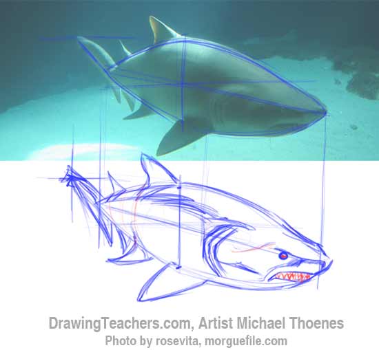 How to Draw a Shark Step 6