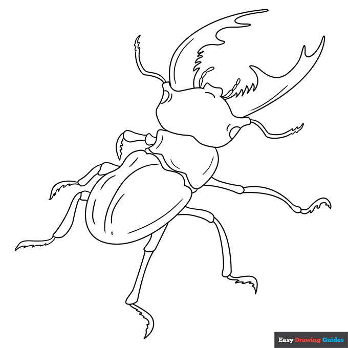 Free printable bettle coloring page
