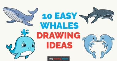 10 Easy Whales Drawing Tutorials for Kids and Beginners