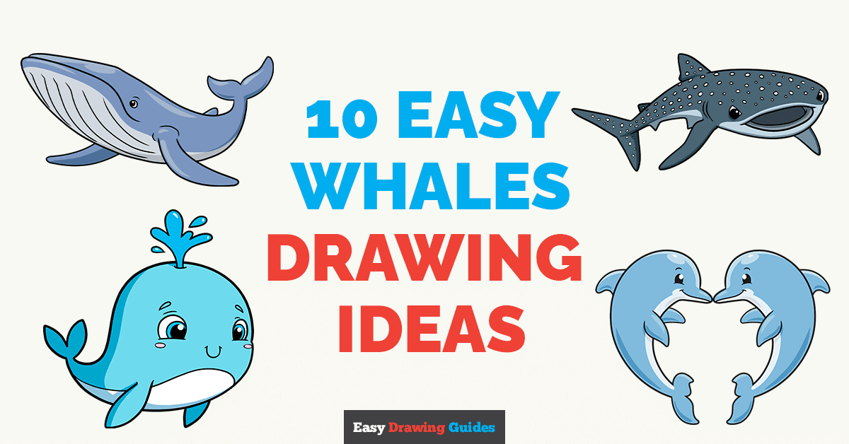 10 Easy Whales Drawing Tutorials for Kids Featured Image