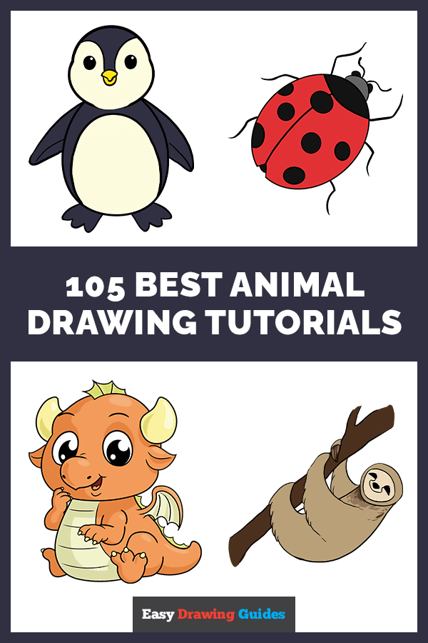 Best Animal Drawing Tutorial Pinterest Image