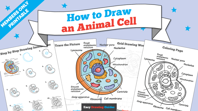 Printables thumbnail: How to Draw an Animal Cell