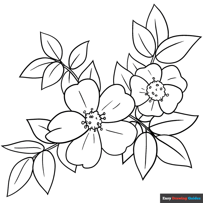 Free printable wild rose coloring page