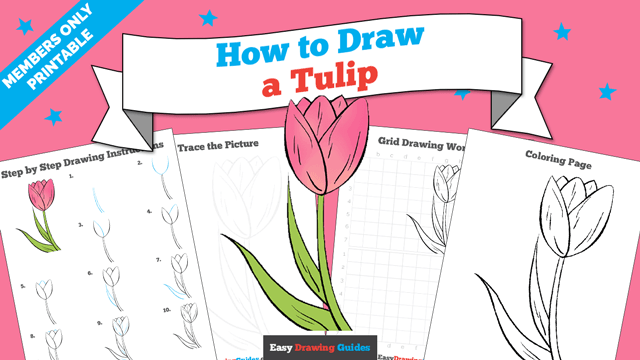 Printables thumbnail: How to draw a Tulip