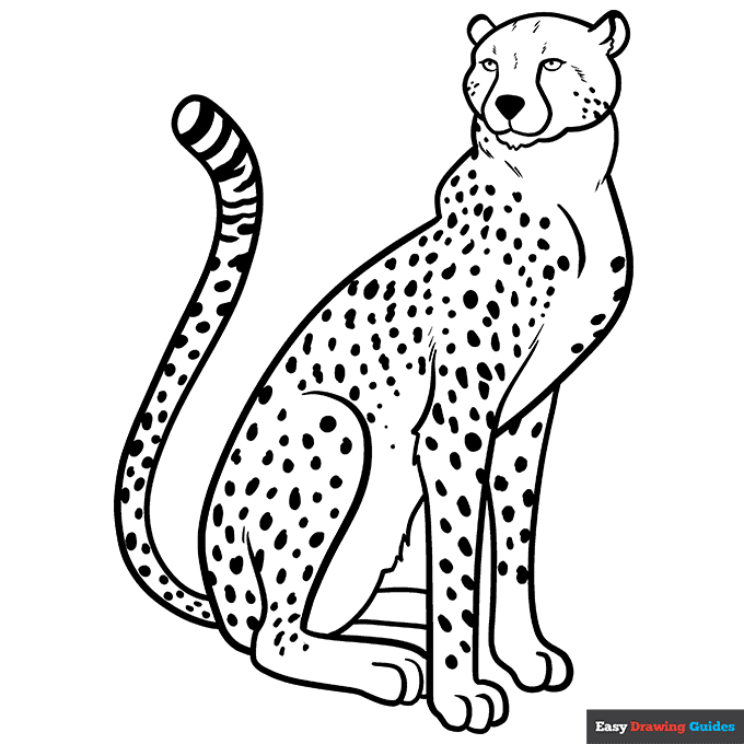 Free printable cheetah coloring page