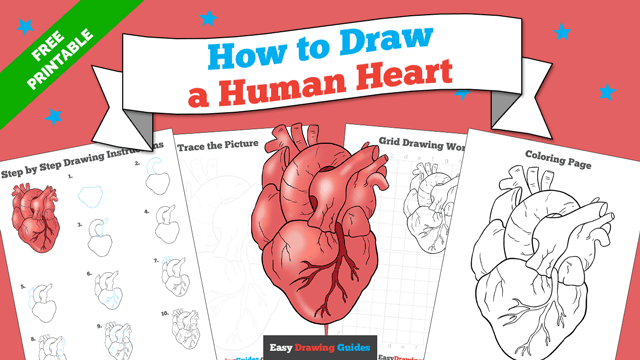 Free printable page - how to draw real heart