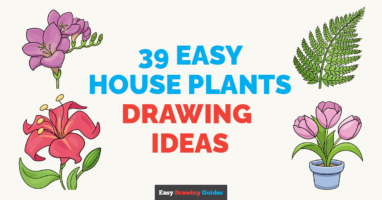 How to Draw House Plants: 39 Step-by-Step Drawing Tutorials
