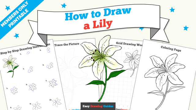Printables thumbnail: How to draw a Lily