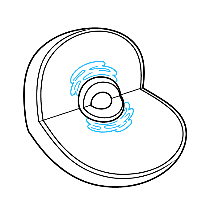 How to Draw an Animal Cell Step 03