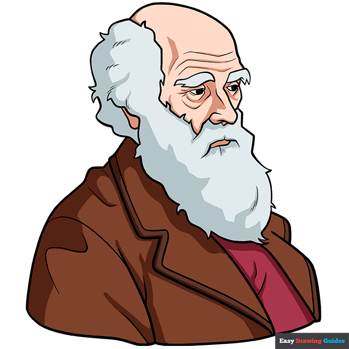 Charles Darwin step-by-step drawing tutorial: step 11