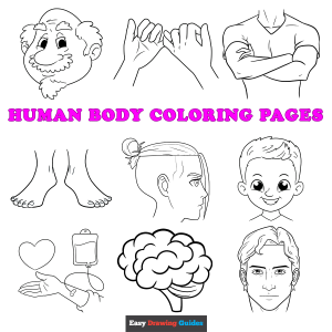 Free printable human body coloring sheets - featured image