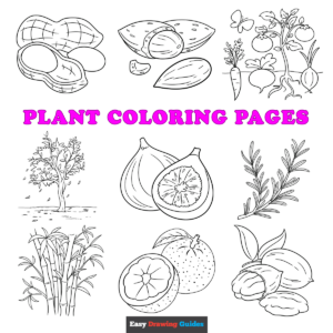 Free printable plants coloring sheets - featured image