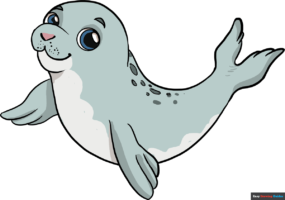 How to Draw a Baby Seal