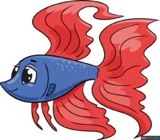 How to Draw a Betta Fish