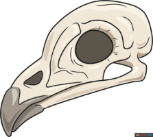 How to Draw a Bird Skull