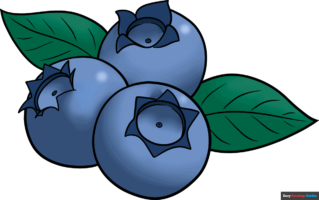 How to Draw a Blueberry
