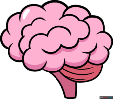 How to Draw a Cartoon Brain