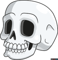 How to Draw a Cartoon Skull