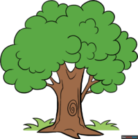 How to Draw a Cartoon Tree