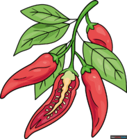 How to Draw a Chili Pepper