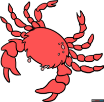 How to Draw a Crab