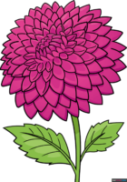 How to Draw a Dahlia