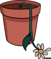 How to Draw a Dead Flower