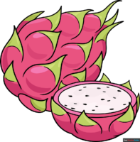 How to Draw Dragon Fruit