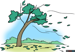 How to Draw Falling Leaves