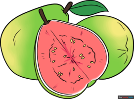 How to Draw a Guava