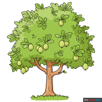 How to Draw a Guava Tree