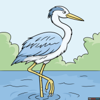 How to Draw a Heron