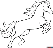 How to Draw a Horse Outline