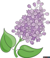 How to Draw a Lilac Flower