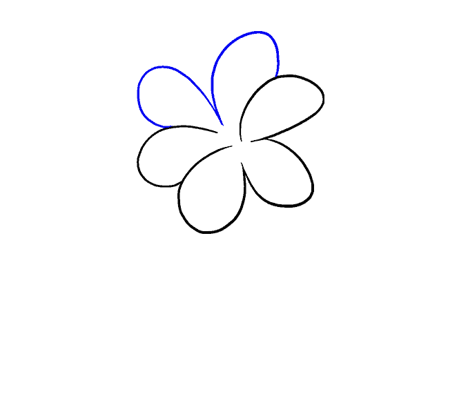 How to draw a Lily Step: 5