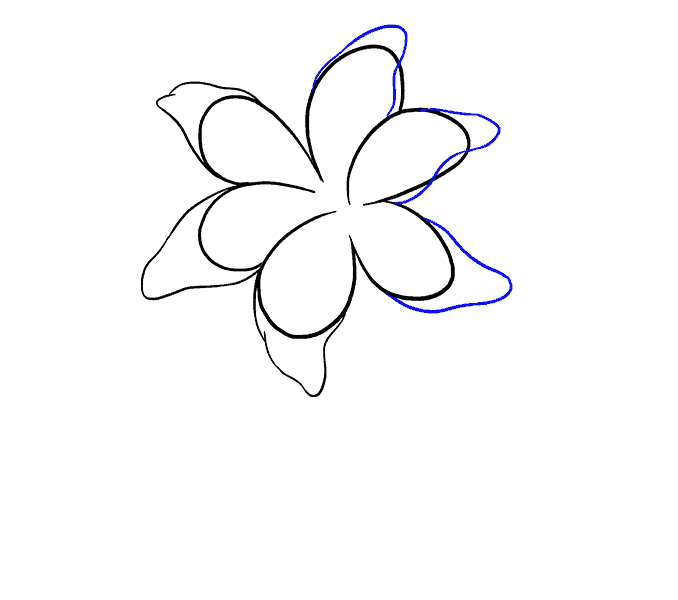 How to draw a Lily Step: 7