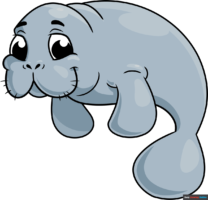 How to Draw a Manatee