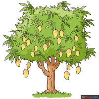 How to Draw a Mango Tree