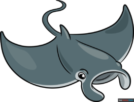 How to Draw a Manta Ray