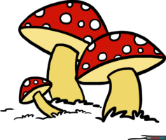 How to Draw a Mushroom: Easy Step-by-Step Mushroom Drawing Tutorial for Beginners