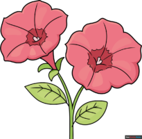 How to Draw a Petunia
