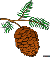 How to Draw a Pinecone