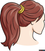 How to Draw a Ponytail