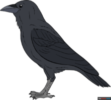 How to Draw a Raven