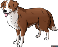 How to Draw a Realistic Dog