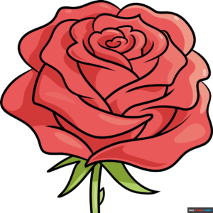How to Draw a Realistic Rose Flower Featured Image