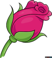How to Draw a Rose Bud